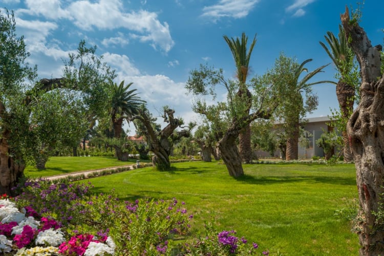 Bungalows Lush Gardens